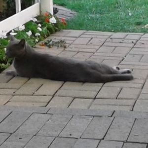 Meet your Posher, Vicki